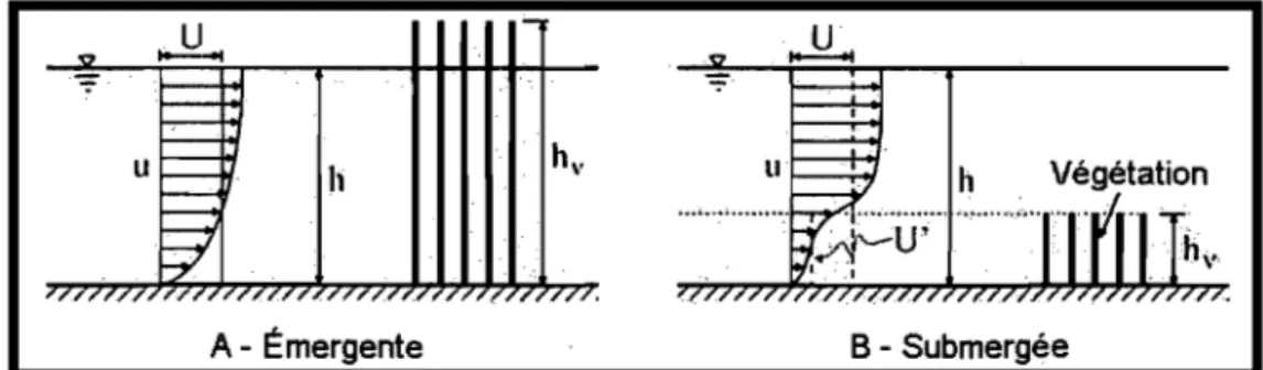 Figure 1.8. Changement du  profil  de  vitesse  de  l'écoulement selon  la  hauteur qu'atteint la  végétation