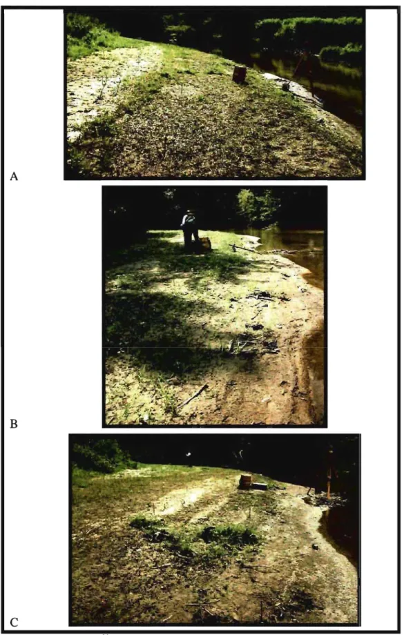 Figure 2.3. Sites d'étude au 1  août 2007: (A) Amt;  (B)  Ctr;  (C)  Avl. Les prises de vue sont toutes vers  l'aval