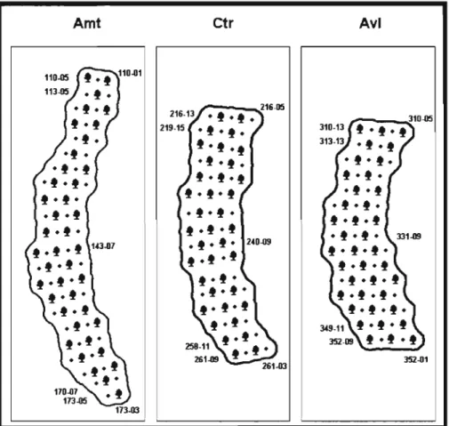 Figure 2.4. Couverture systématique des bancs. Le symbole végétal représente un quadrat laissé intact; 