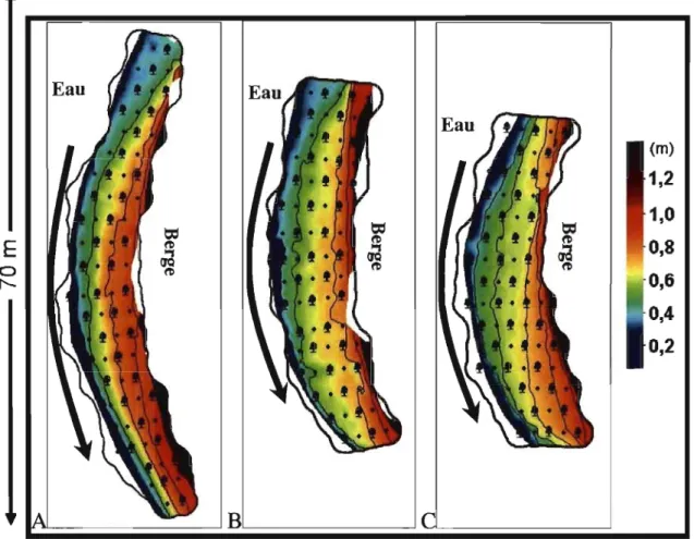 Figure 3.1. Topographie des trois sites à  l'étude les 18 septembre 2007 (bancs Amt (A)  et Ctr  (B))  et 1 er  aoOt  2007  (banc Avl  (C))