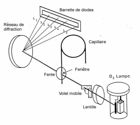 Figure  2.2 : Schéma de l’appareil de détection par barrette de diode (DAD) dans le  UV-Vis [46]