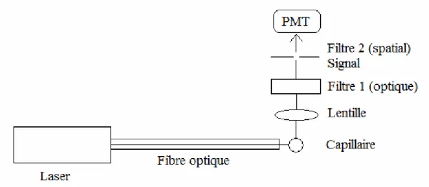 Figure  2.5 : Schéma de l’appareil de détection par fluorescence induite par laser  (LIF)