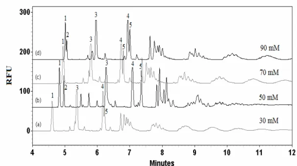 Figure 4.6 : Électrophorégrammes des produits de la digestion enzymatique du CMC  digéré pendant 3 jours à 37°C, avec un ratio S/E de 25/1 dans l’acétate de sodium   50 mM à pH 5.0, marqués avec l’APTS