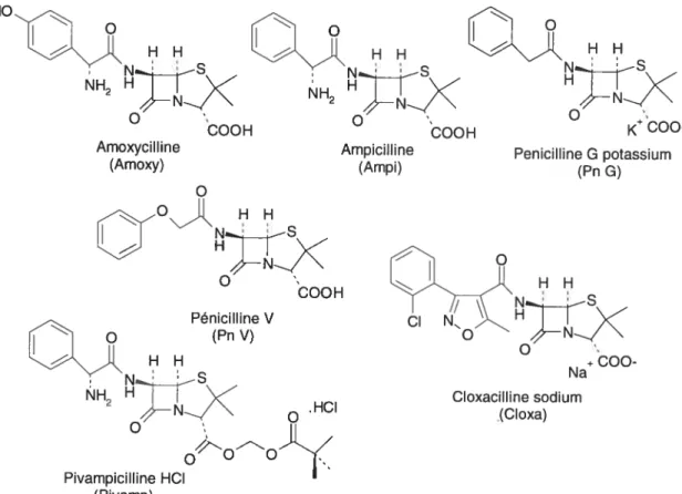 Figure 6.1 : Structure moléculaire, nom et abréviation des pénicillines étudiées.