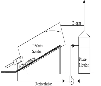 Figure 1.6  Digesteurs agricoles pilotes de type sac tubulaire pour ensilage  (à  gauche) et projet de  la ferme Yttereneby  (à droite) (Schafer, Lehto et Teye,  2006) 