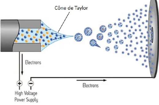 Figure 2.6. Schéma du processus d’ionisation par nébulisation électrostatique. [35] 