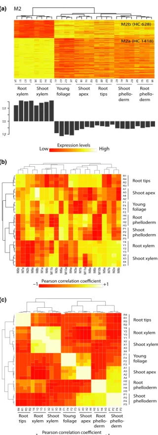 Fig. 2 Expression module and coexpression groups across tissues in white spruce (Picea glauca)