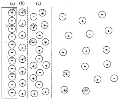 Figure 2.1  Schéma de la double couche électrique où (a) paroi  du  capillaire, (b) couche adsorbée et  (c) couche diffuse 