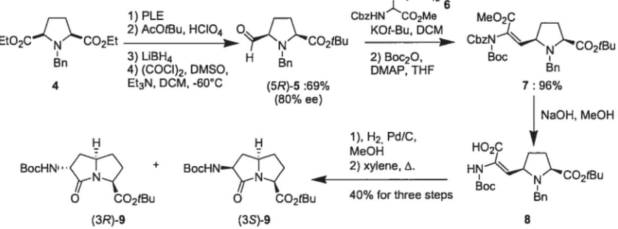 FIGURE I General structure for pyrrolizidinone amino acids and examples ofpreviously reviewed analogs.