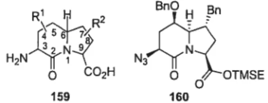 FIGURE 4 General structure for multi substituted indolizidinone amino acids and previously reviewed example 160.