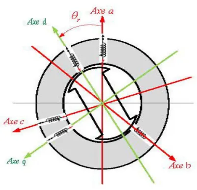 Figure 3-2 : Représentation de  la  lvlSAP  dans  le  rer;ère de  Park 