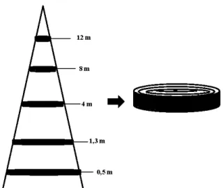 Figure 3.2 Schéma de l'échantillonnage des  galettes  de bois  sur les arbres  et de la production  des  échantillons pour les analyses 