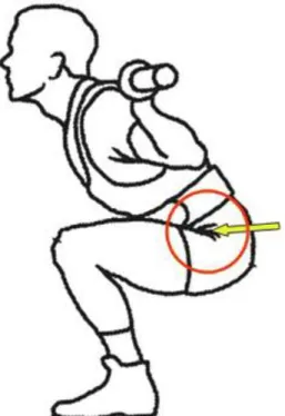 Figure 1 : Profondeur nécessaire à la flexion de jambes selon l’IPF (USA Powerlifting,  2013)