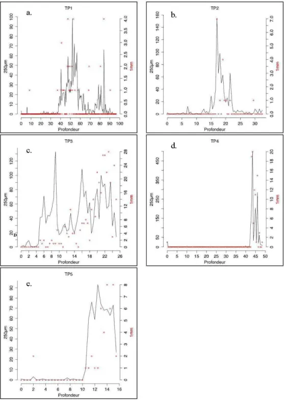 Figure  2.5  : Résultats  des  analyses  de  charbons de bois  du site TP. Les lignes  continues  représentent  le nombre  de  charbons  &gt;250  f.llll,  les  symboles  «  0  »  représentent le nombre de charbons &gt; 1 mm 