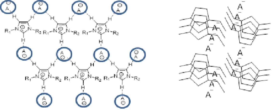 Figure 1.9. Représentation schématique de la structure polymérique 2D (gauche) et 3D  (droite) des sels d’imidazolium dans le réseau cristallin