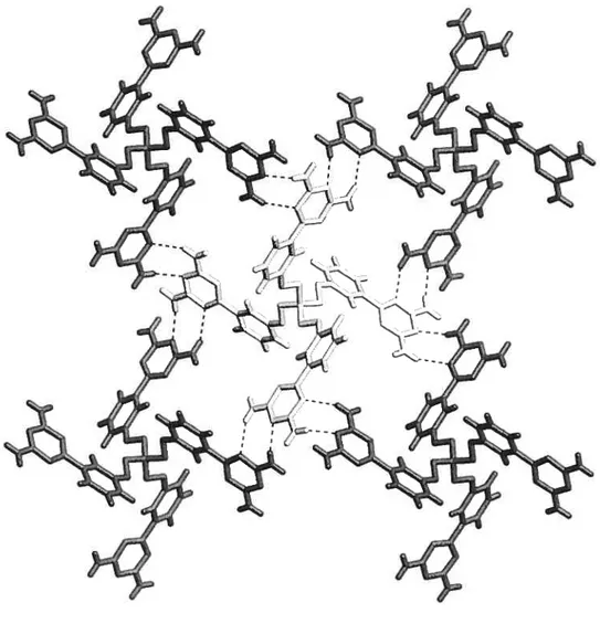 Figure 2.8 View of the structure of crystais of tecton 19 grown from DMSO/dioxane, showing a central tecton (light gray) surrounded by four hydrogen-bonded neiglibors (dark gray)