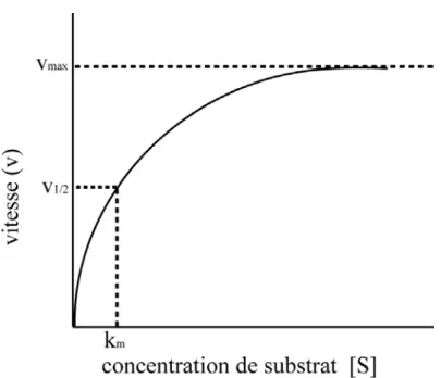 Figure 2. Réaction qui suit la cinétique de Michaelis et Menten. Adapté de (24). 