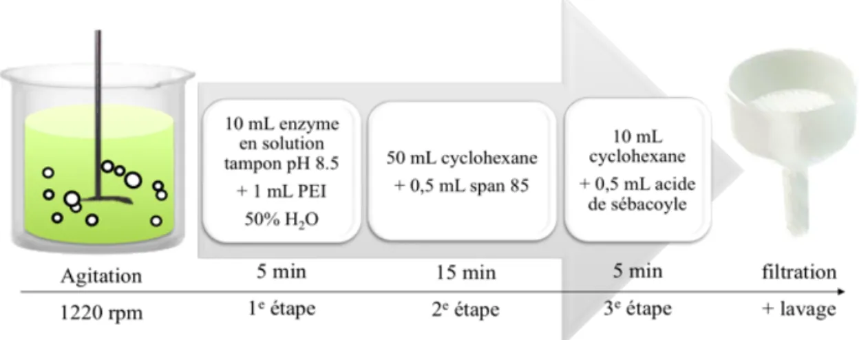 Figure 8. Étapes de préparation des microcapsules. 