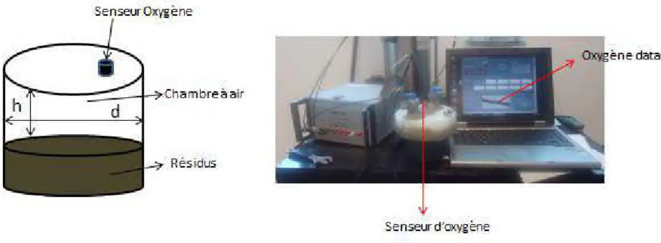Figure 3-1: Dispositif expérimental mis en œuvre pour les essais  de  consommation d'oxygène 