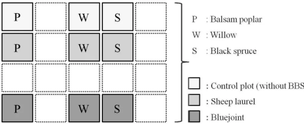 Figure 2.4 Example  of one experimental  block illustrating the  plot arrangement.  Each treatment was  replicated three times within each block