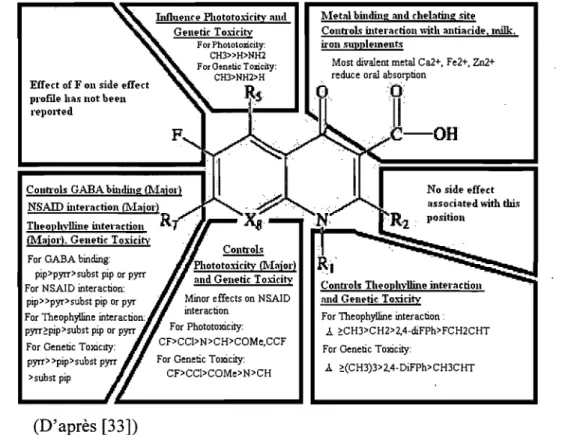 Figure 5  : Effets secondaires des fluoroquinolones en relation avec leur structure moléculaire