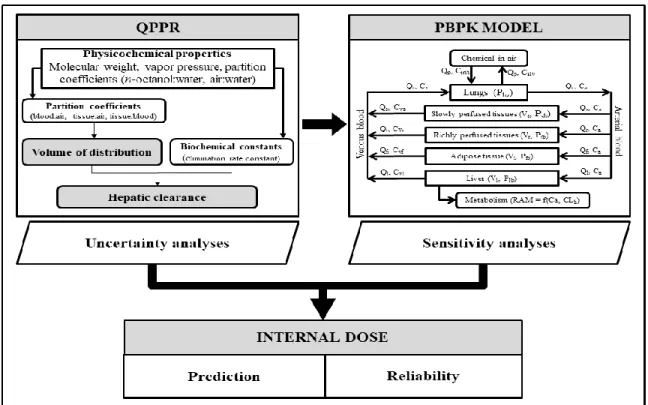 Fig.  1.  Quantitative  property-property  relationships  (QPPRs)-based  human  physiologically  based pharmacokinetic (PBPK) modeling framework proposed in the current study