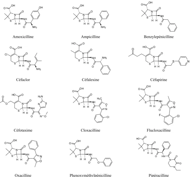 Figure 1-2. Structures des β-lactamines les plus mentionnées dans la littérature environnementale