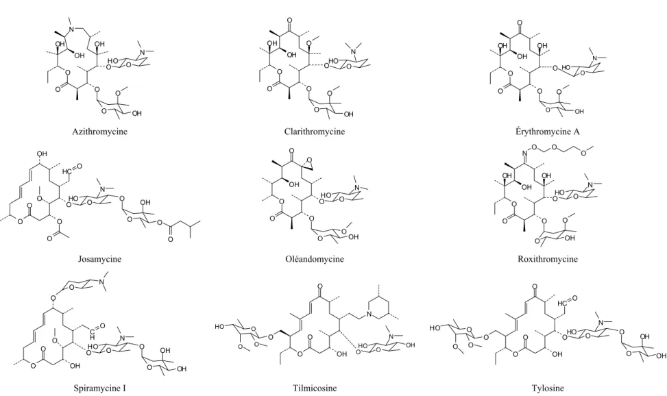 Figure 1-4. Structures des macrolides les plus mentionnés dans la littérature environnementale