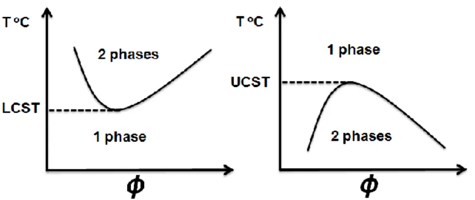 Figure 1.10 Comportement d’un système en solution démontrant une LCST ou une UCST. 