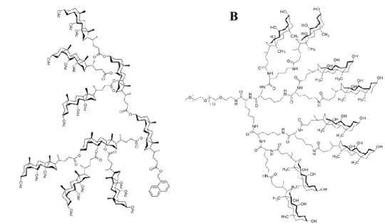 Figure  1.20  Architectures  dendronisées  d’acides  biliaires  potentiellement  employés  pour  l’incorporation de composés hydrophobes