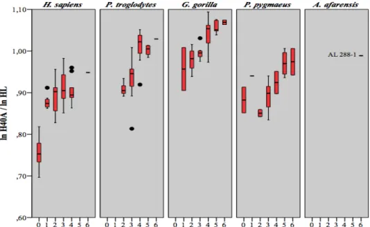 Figure 4.7 Diagrammes en boîtes du rapport de H40A sur HL en fonction du stade  dentaire 