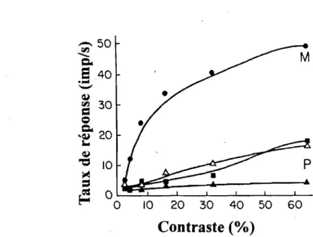 Figure  5 :  Comparaison  du  mécanisme de contrôle du  gain  aux  contrastes  des  systèmes M  et P 