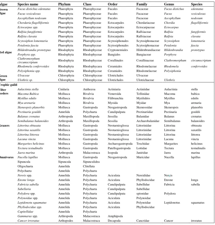 Table S1. Taxa list of all observed organisms at the end of the experiment (September 2011)