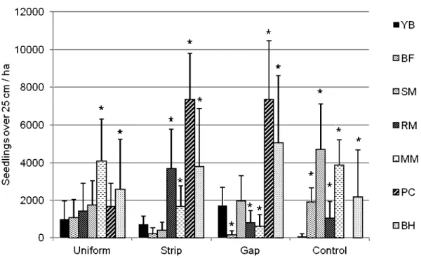 Figure  2.6  Average density of seedlings that were  over 25  cm tall (seedlings!ha) by species  and treatment in irregular shelterwood cuts in northwestern Québec,  Canada