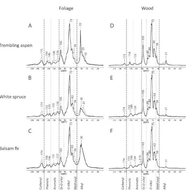 Fig.  1.2.  Cross-polarization magic  angle spinning (CPMAS)  13 C NMR spectra of  fresh foliage and wood material (thick line) and spectra of material decayed for 5 to 6  years (thin line )