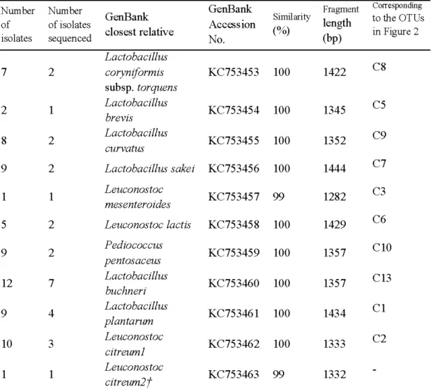 Table 2.1 Sequence analysis  of silage LAB isola tes which were thereafter used to develop  DGGE reference ladder 