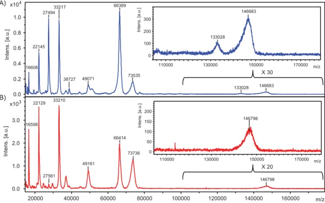 Figure 2.2 MALDI mass spectra of proteins from whole bovine serum adsorbed on 16-MHA  before (A) and after rinsing the surface with PBS (B)