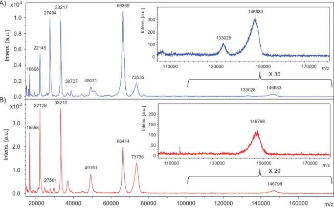 Figure 2.2 MALDI mass spectra of proteins from whole bovine serum adsorbed on 16-MHA  before (A) and after rinsing the surface with PBS (B)