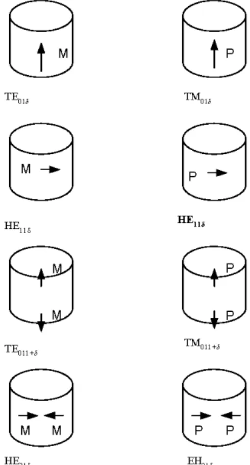 Fig.  2.  4  : Nature de la radiation de différents modes de  DRAs cylindriques isolés 