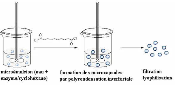 Figure 19. Schéma de la synthèse des microcapsules par agitation mécanique. 