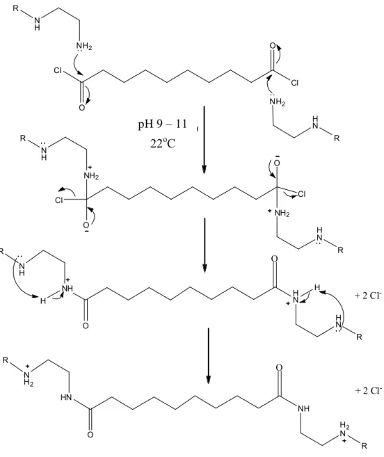 Figure  20.  Mécanisme  de  réticulation  des  fonctions  amines  du  PEI  par  le  dichlorure de décanedioyle, qui est à la base de la formation de la membrane des  microcapsules
