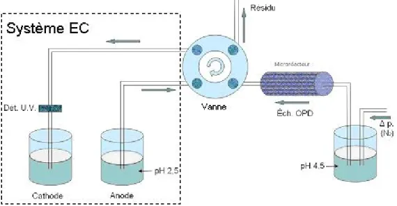 Figure  24. Schéma du  montage  en ligne proposé pour l’étude de l’efficacité du  microréacteur enzymatique