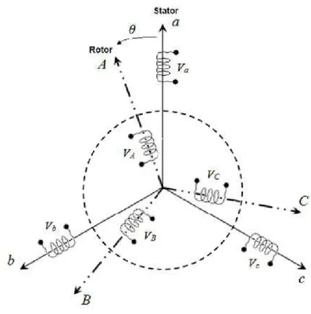 Figure 3-1: Défuùtiondes différents enroulements d'une machiœ asynchrone à  SÎJl1lle  cage d'écureuil 