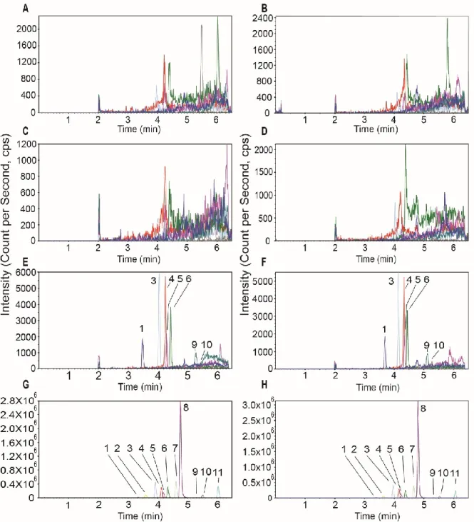 Figure 2.3 Chromatograms are representing blank in aqueous humor (A), vitreous humor (B),  eye tissue (C), SLF-BSA (D), pooled LLoQs in eye tissues (E) and SLF-BSA (F) as well as 50  nmol.L-1 pooled standards in eye tissues (G) and SLF-BSA (H)