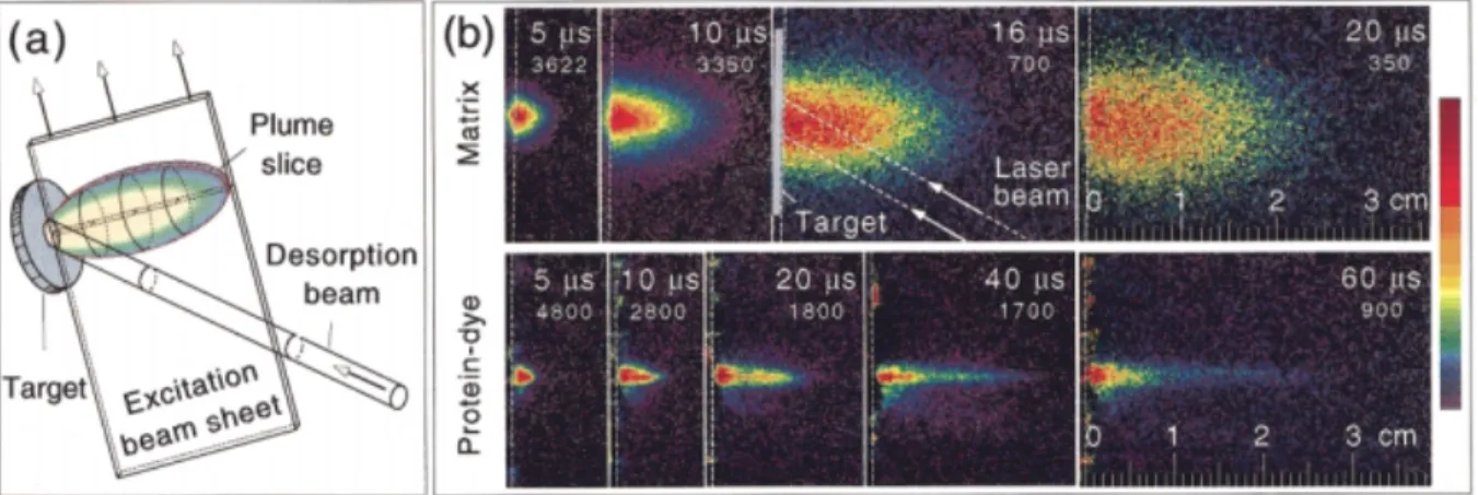 Fig. 5: Schémas de la géométrie d’une plume de désorption/ionisation MALDI en fonction du  temps mesurée par fluorescence induite par laser