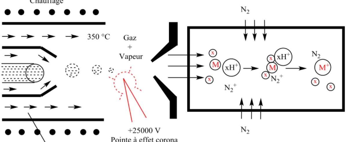 Fig. 3-1. Ionisation à pression atmosphérique par ionisation chimique (APCI) où X est le  solvant et M est l’analyte