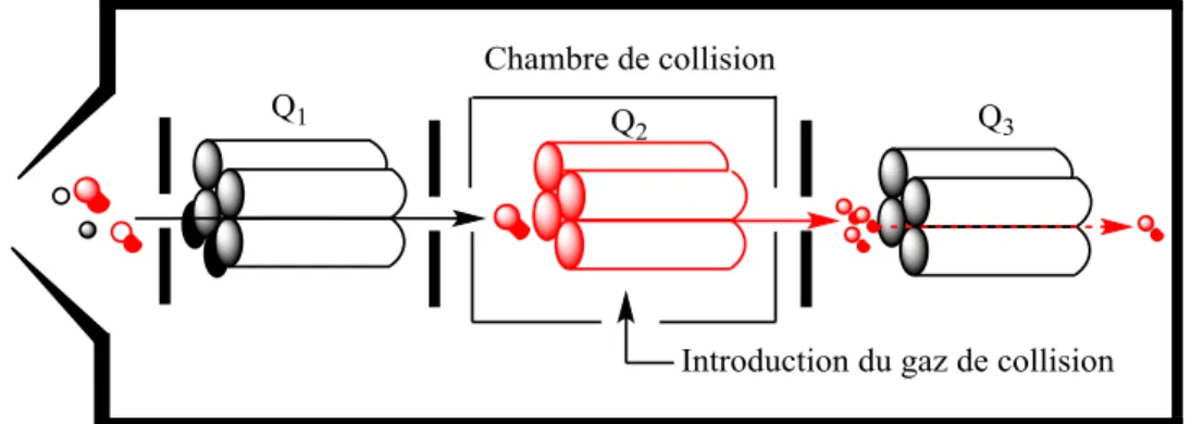 Fig. 3-2. Analyseur de type triple quadripôle (QqQ).  