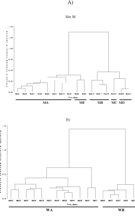 Figure 1.4 Cluster analysis dendrograms derived from a matrix of mean Euclidian  distances based on PCs calculated from nEFDs for 80 harmonies