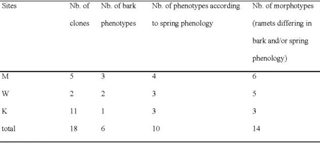 Table  1.4 Number of clones identified by microsatellite markers and number of  morphotypes defined by spring phenology and bark characteristics