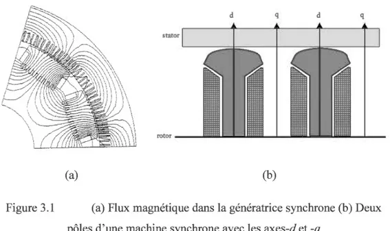 Figure 3.1  (a) Flux magnétique dans la génératrice synchrone (b) Deux  pôles d'une machine synchrone avec les axes-d et  -q 